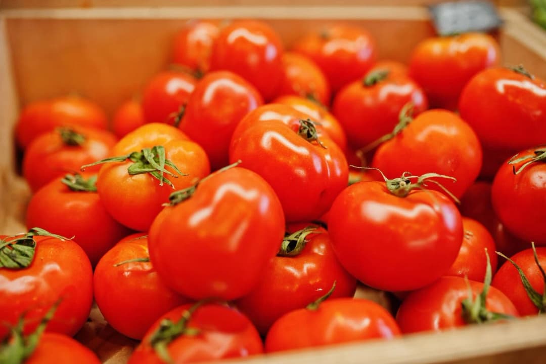 Tomatoes